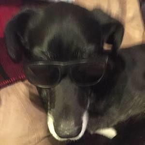 Meet your Posher, Nathan